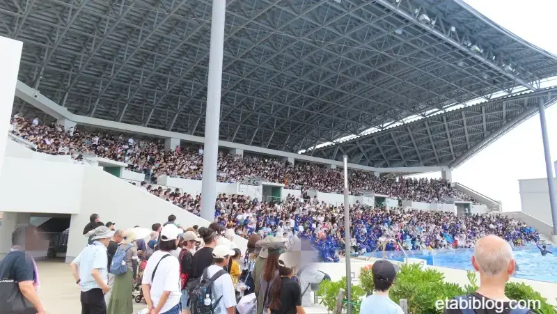 7月19日（日）の1回目のオルカスタジアム