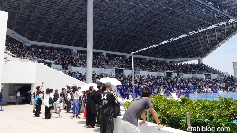 7月30日（木）の1回目のオルカスタジアム
