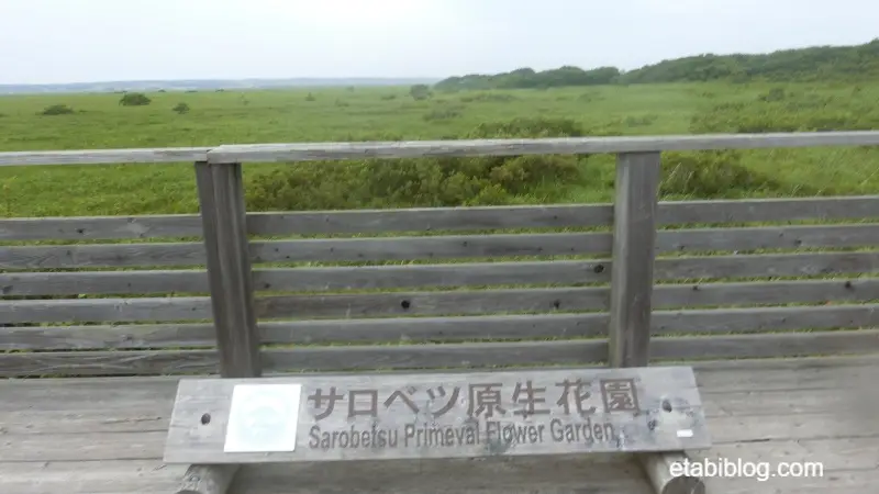 サロベツ原生花園の看板