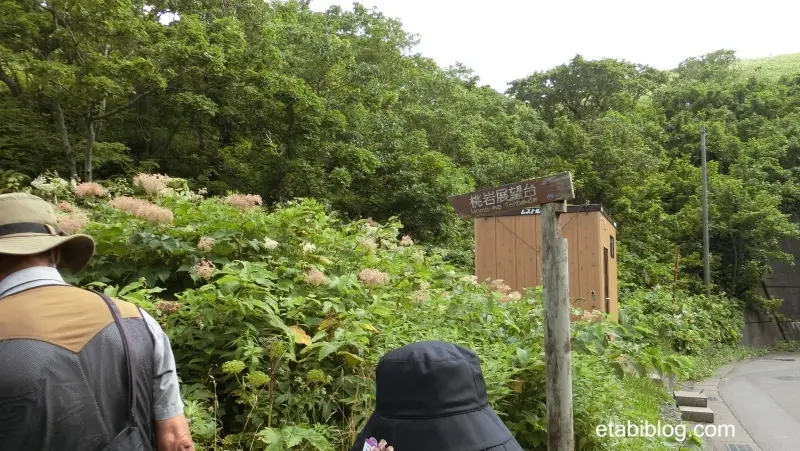 桃岩展望台遊歩道の入り口