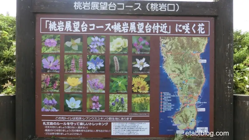 桃岩展望台の高山植物の看板