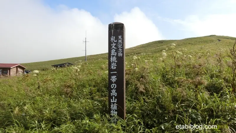 桃岩展望台までの平原