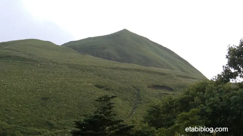 桃に形に見える桃岩