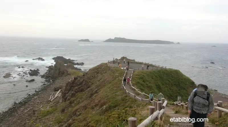 スコトン岬展望台の全景