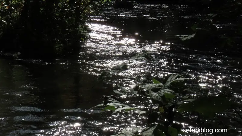 石ヶ戸で見られた朝靄の絶景