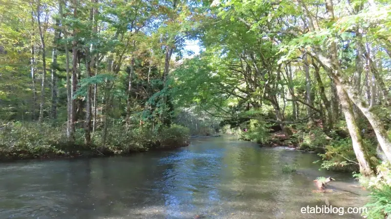 奥入瀬渓流の幅広い清流