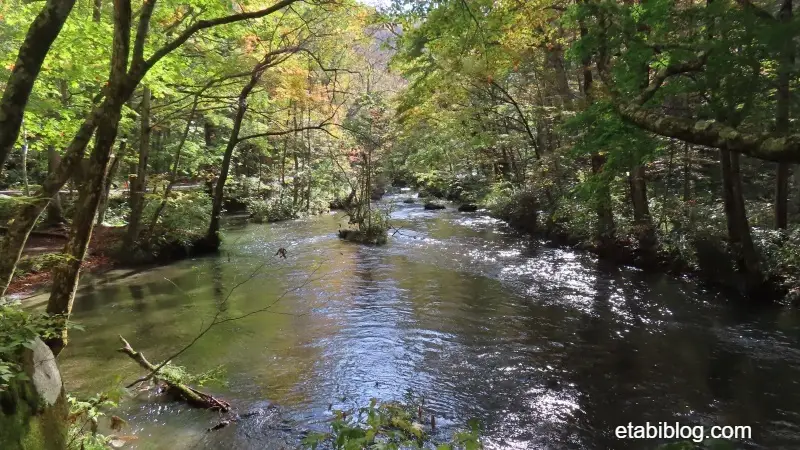 奥入瀬渓流石ヶ戸の流れ