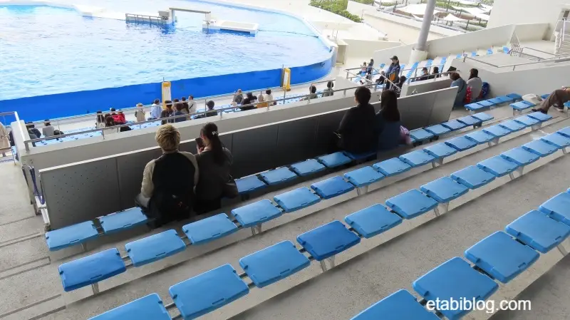 須磨シーワールド指定席のすぐ後ろの席付近