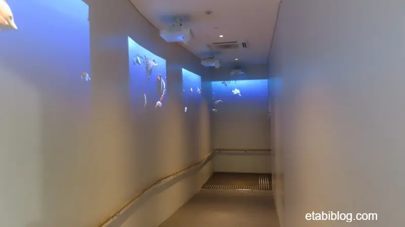 アクアライブの通路に映し出される映像