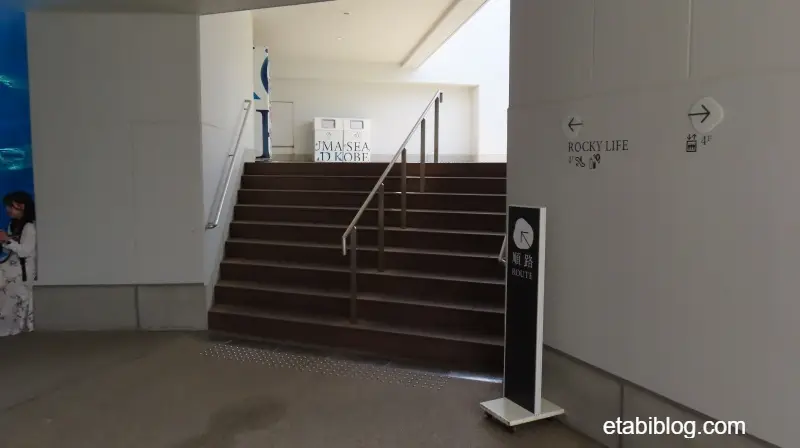 アクアライブ屋上への階段