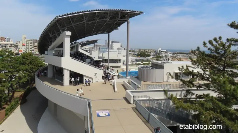 アクアライブから見たドルフィンスタジアムの外観