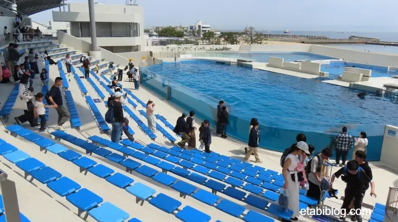 ドルフィンスタジアム