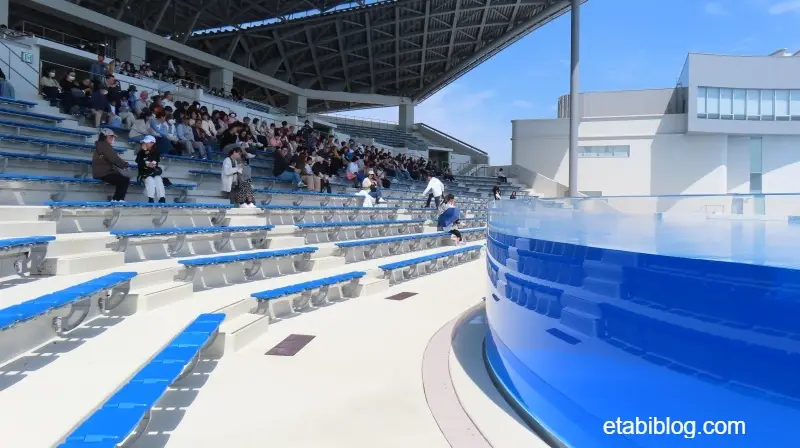 オルカショーのスタジアム