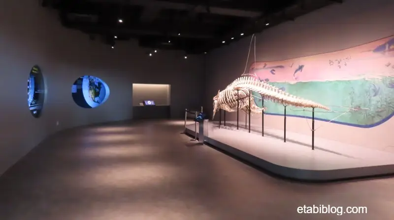 オルカラボの室内