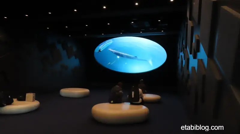 オルカホールの室内