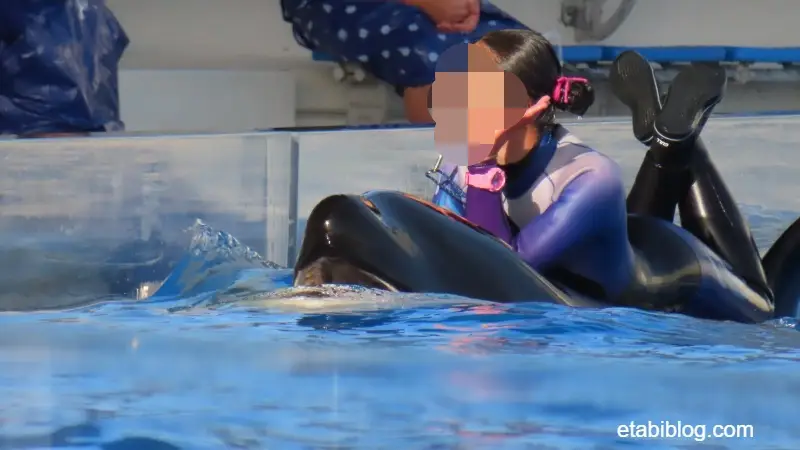 鳴いているシャチ