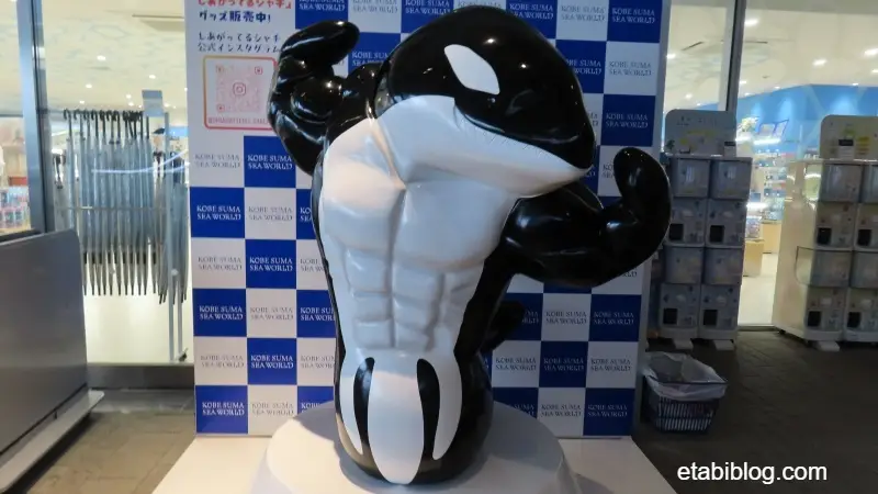 ムキムキシャチの撮影スポット