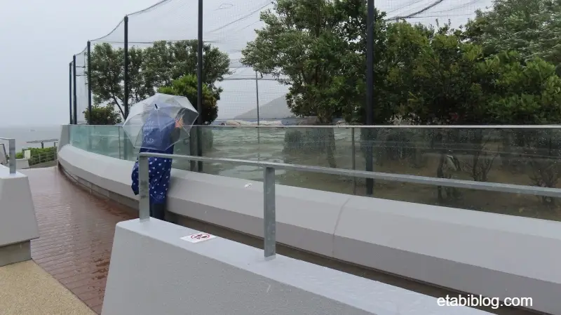雨に日のペンギンエリア