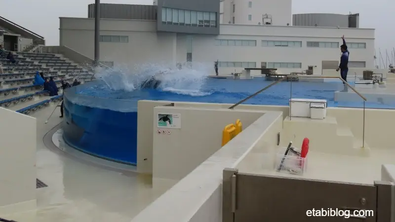 雨に日でも見られるシャチショー