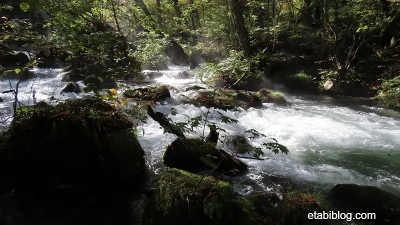 石ヶ戸で見られた奥入瀬渓流