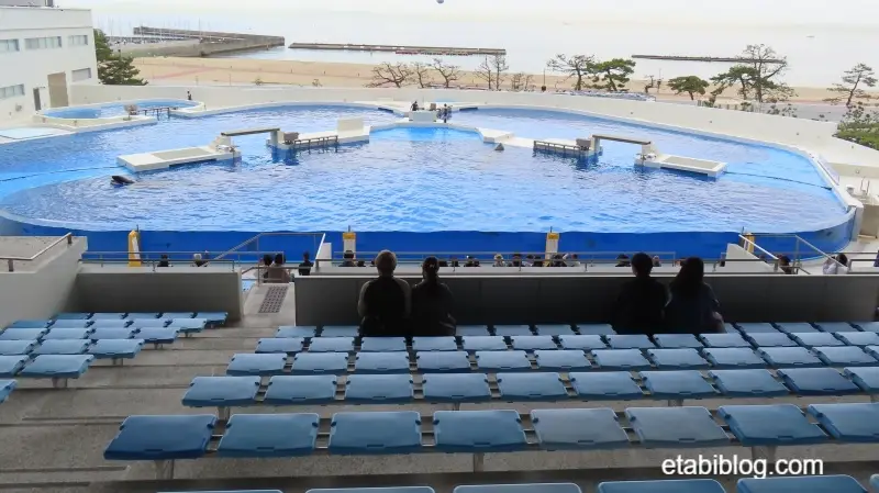 2階最後尾から見えるシャチのプール