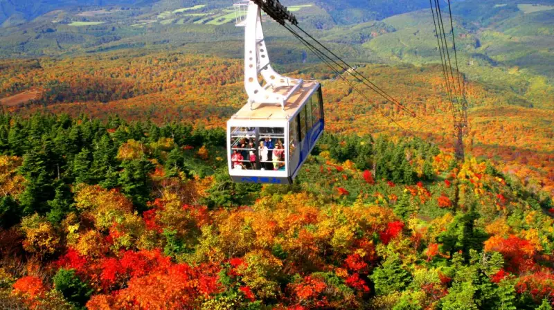 八甲田ロープウェーで見るはずだった紅葉
