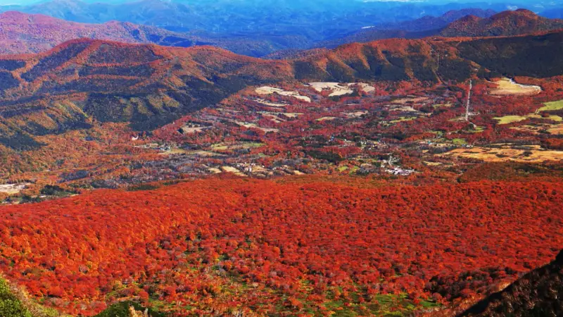 八甲田ロープウェー山頂で見るはずだった紅葉