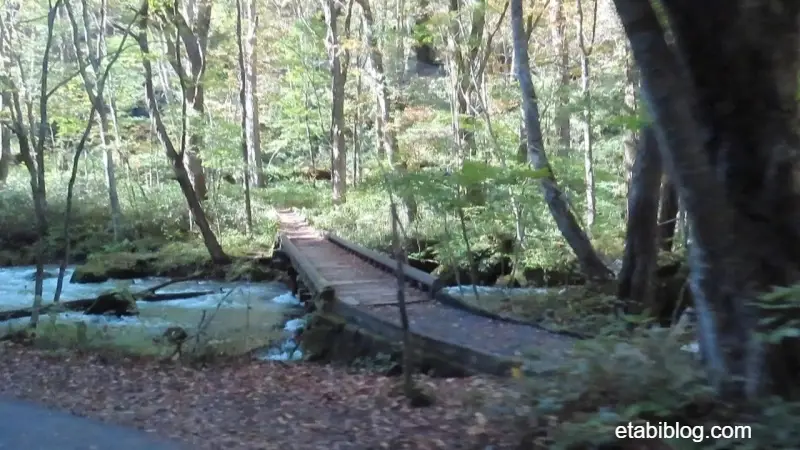 奥入瀬川を派たる遊歩道橋