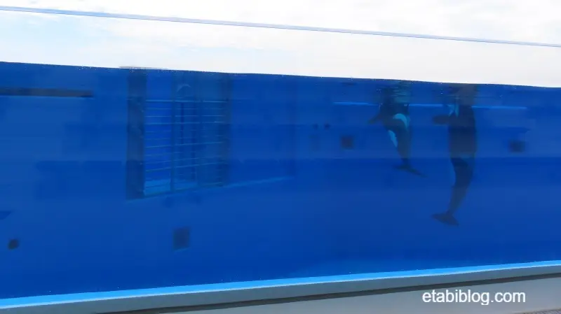 1階1列目から見えるシャチのプール