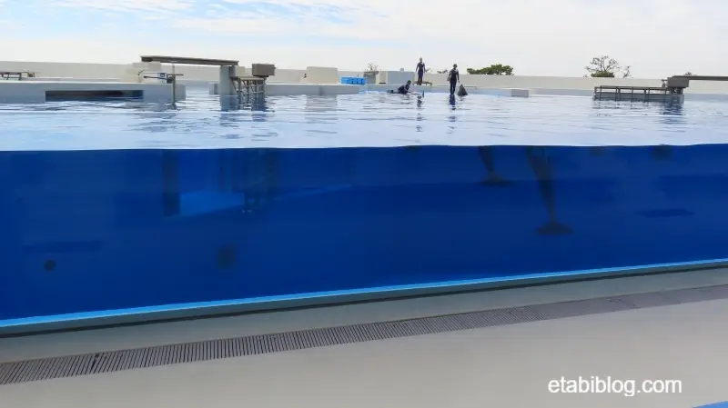 1階3列目から見えるシャチのプール