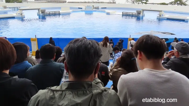 1階最後尾付近の真正面席