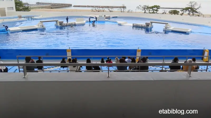 指定席から見えるシャチのプール