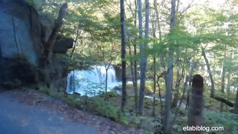 バス車内から見える銚子大滝