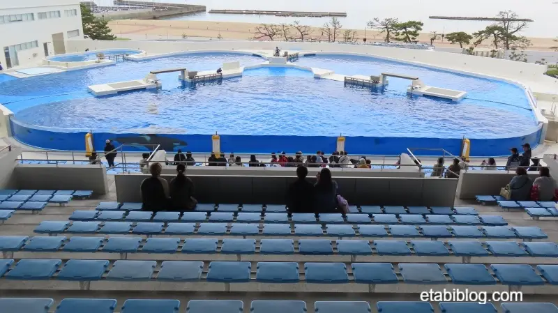立ち見席から見えるシャチのプール