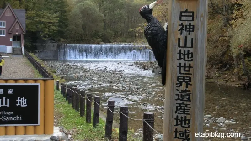 白神山地の世界遺産地域入り口