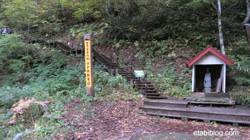 ブナ林散策コースの入り口