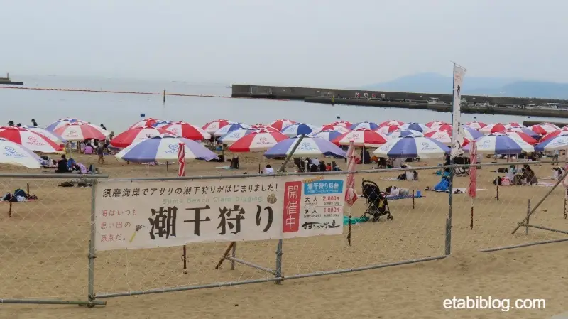 潮干狩り場