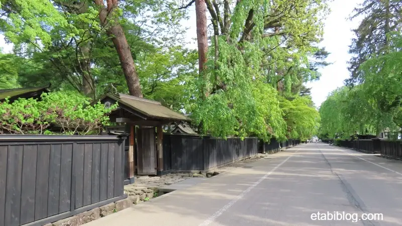 角館武家屋敷通りの新緑