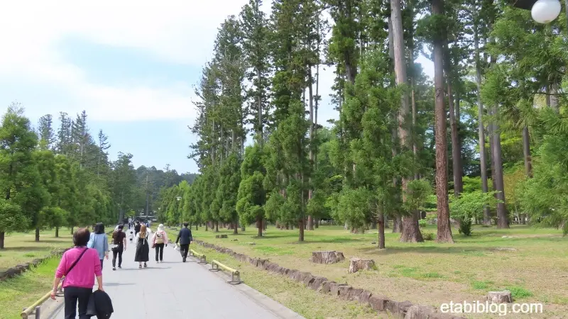 瑞巌寺の杉並木