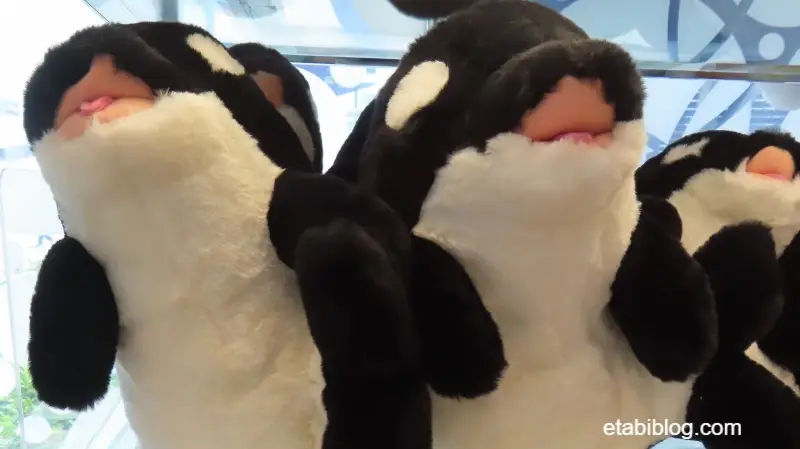須磨シーワールドのシャチのぬいぐるみ