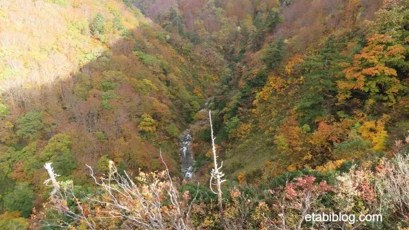 城ヶ倉大橋の中央点から写した渓谷