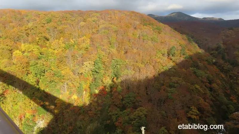 渓谷の紅葉に写る城ヶ倉大橋の陰