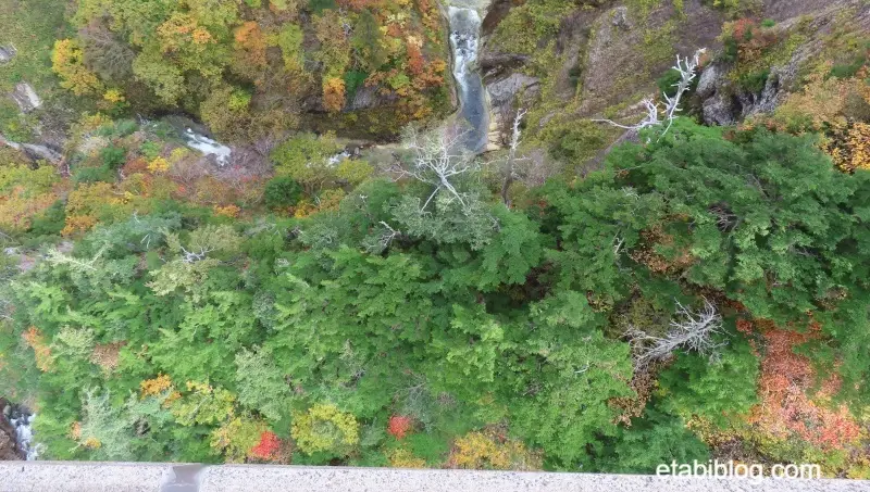 城ヶ倉大橋の上から写した渓谷