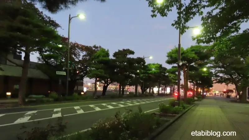 夜の日本の道100選「官庁街通り（駒街道）」