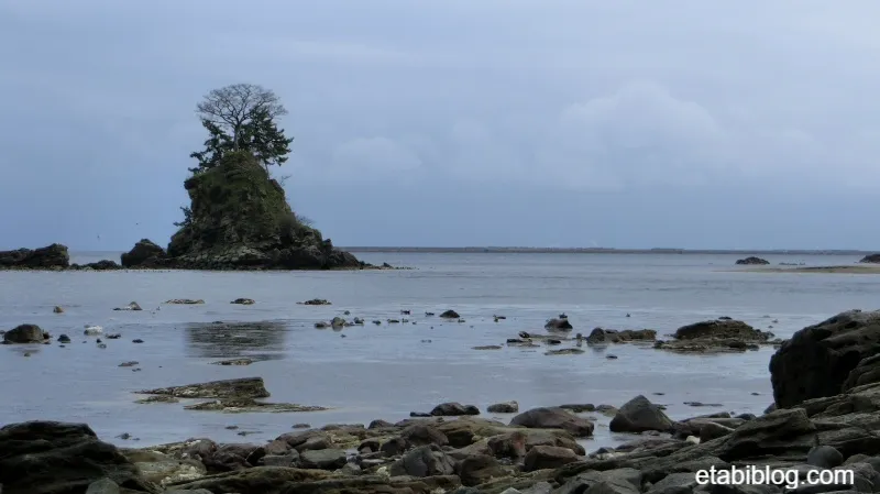 雨晴の海岸沿い