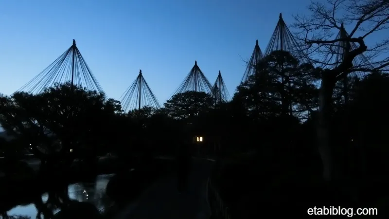 兼六園の夜明け前の雪吊り