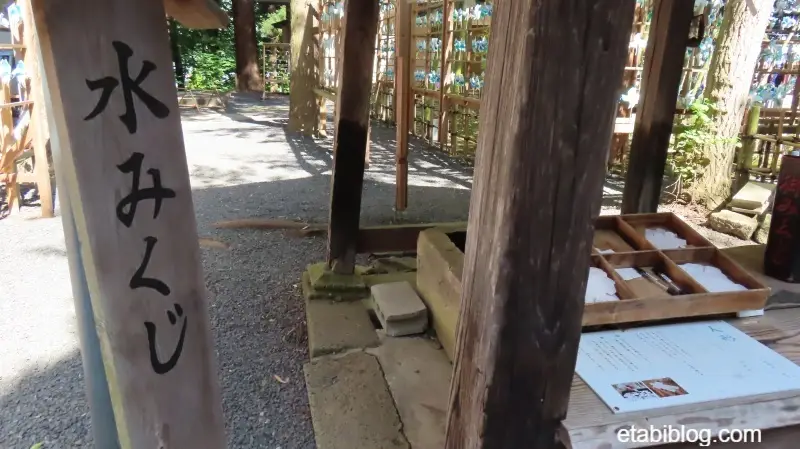 熊野大社の水みくじ