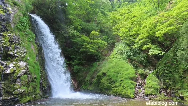 近くから見る白銀の滝