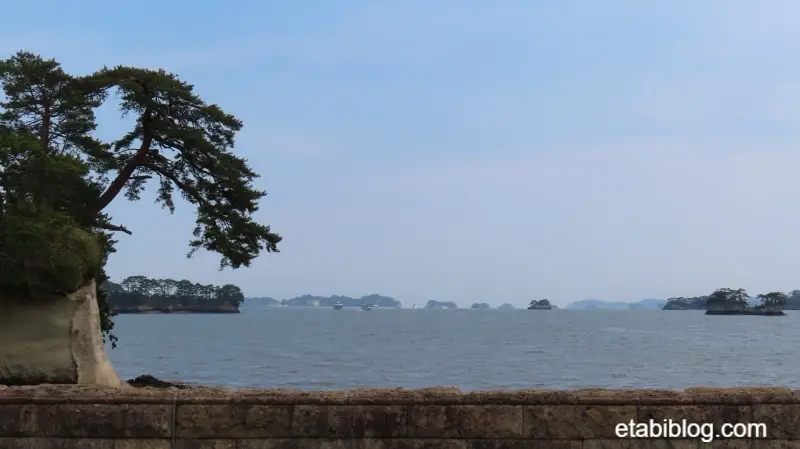陸から見える松島湾の沖合の島
