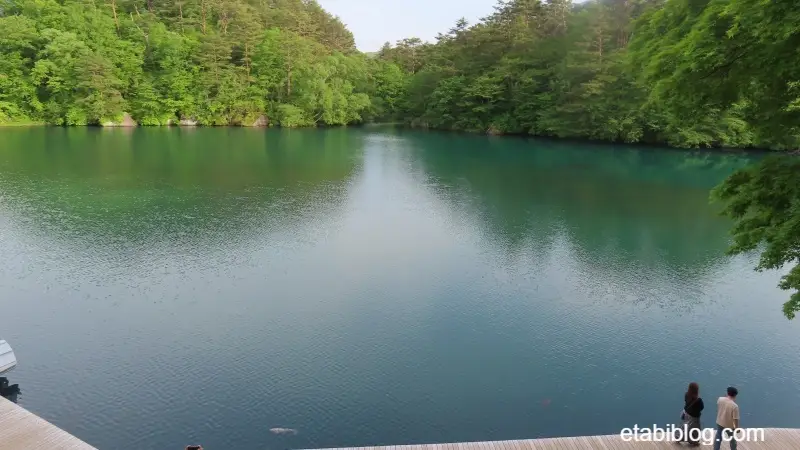 五色沼の整備された湖岸